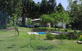 Los Agapantos